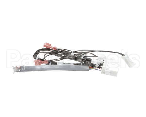 00-917097 Hobart Harness,Service Drive