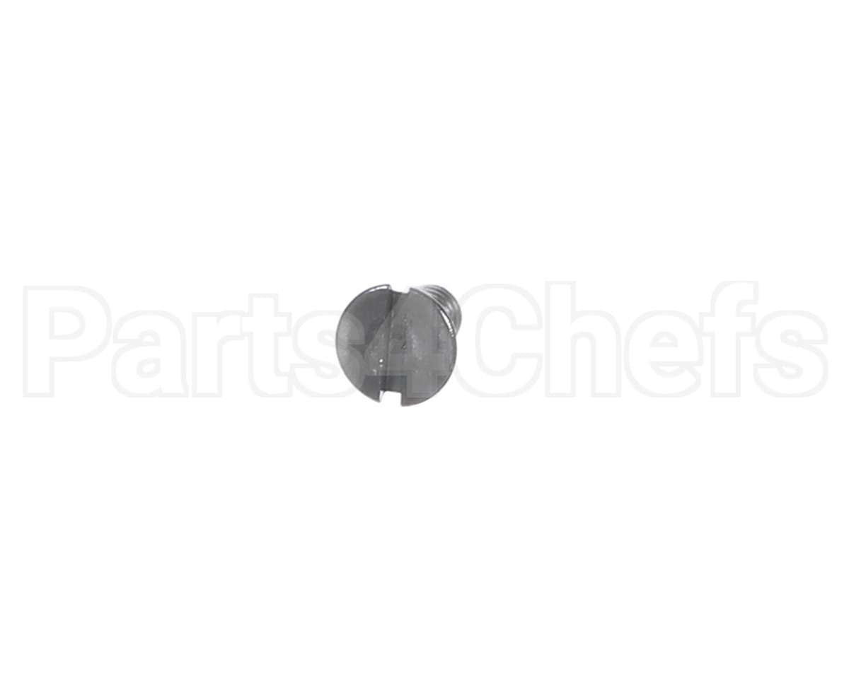 00-938005-00007 Berkel Screw