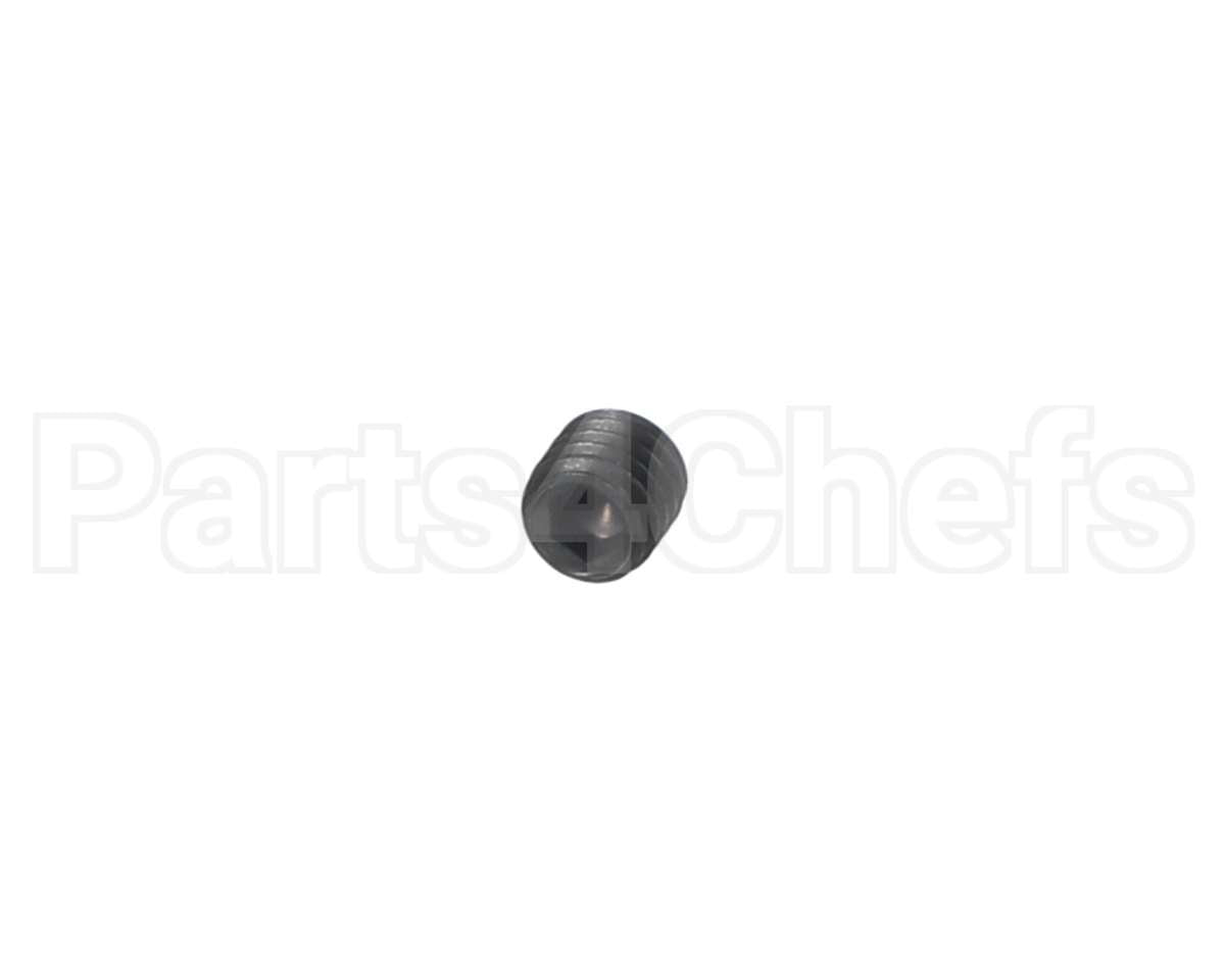 00-938005-00008 Berkel Screw