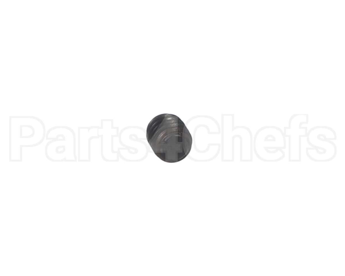 00-938005-00008 Berkel Screw