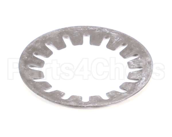 000000000110000095 Bizerba Cup Spring