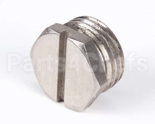00308.50 Cma Spray Arm End Plug Ss