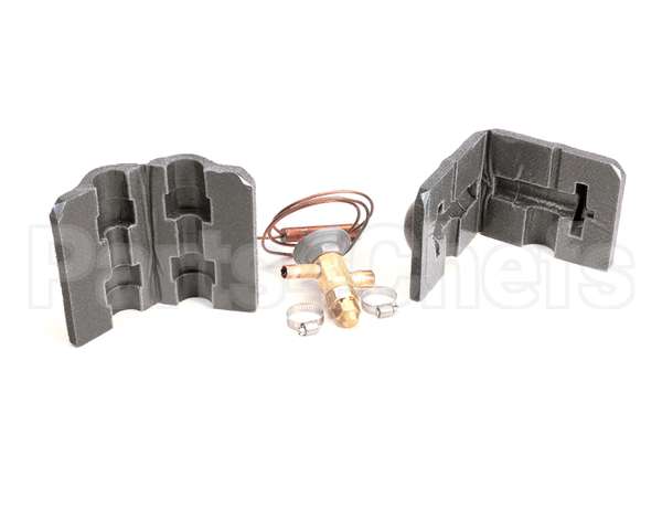 00977579 Follett Valve, Expansion Thermal