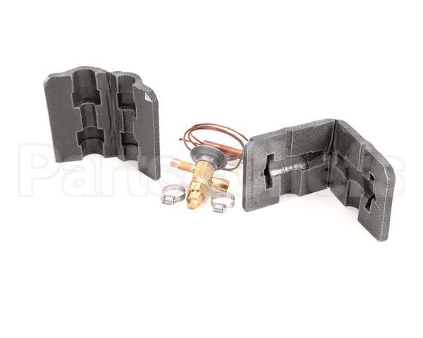 00977579 Follett Valve, Expansion Thermal