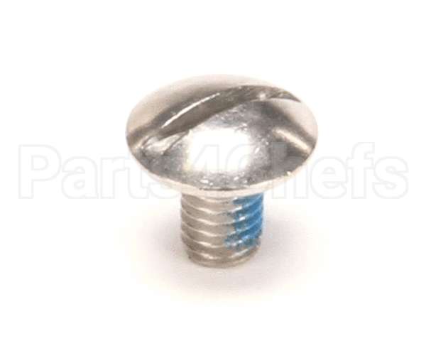 01326.0002 Bunn Screw, Trh Lkg Patch 10-32X.31