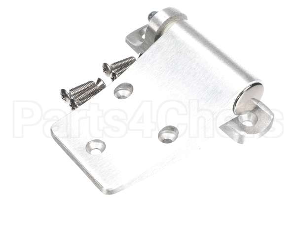 016589 Bally Hinge, Delivery Door, Lh D61/4