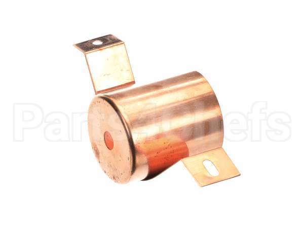 02520.0000 Bunn Overflow Cup Assembly