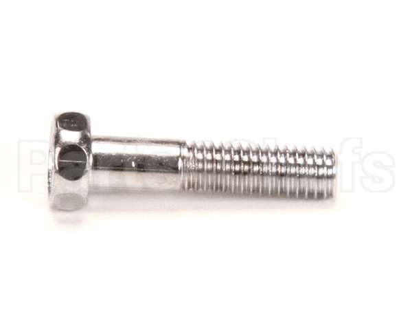 029990 Waring Screw /Grill