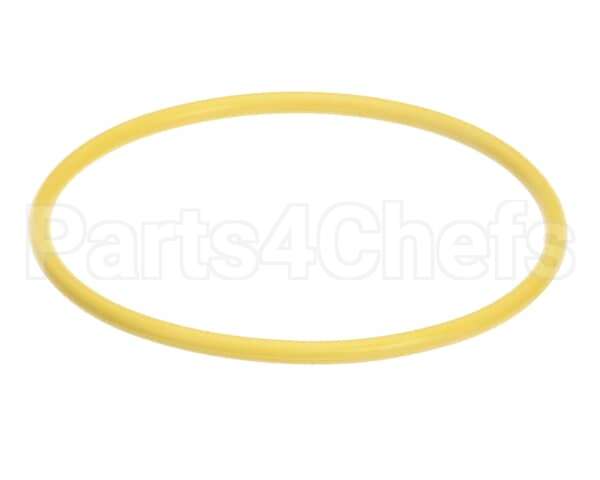 03.05.061B.00 Hatco Watertreat Rep O-Ring Scaltrol