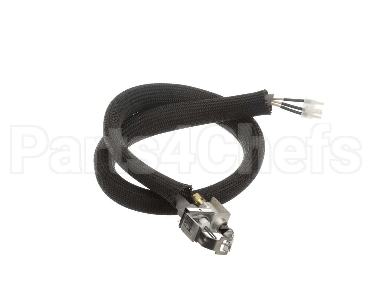 0455946 Legion Pilot Burner Ignitor Sensor