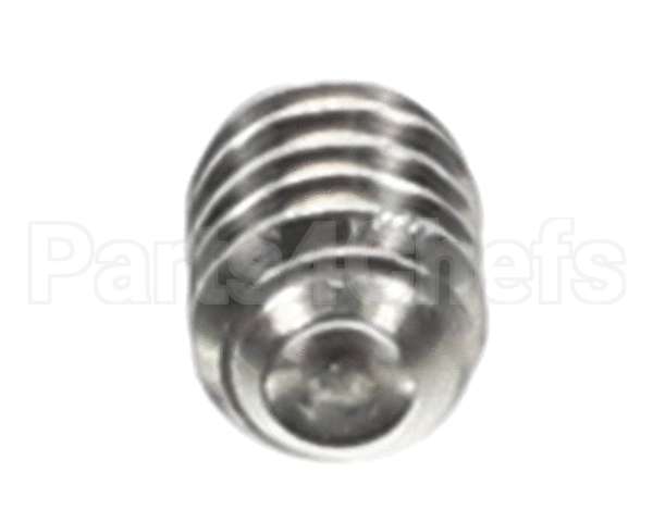 0501395 Champion - Moyer Diebel Screw, Socket 1/4-20X5/16 Ss