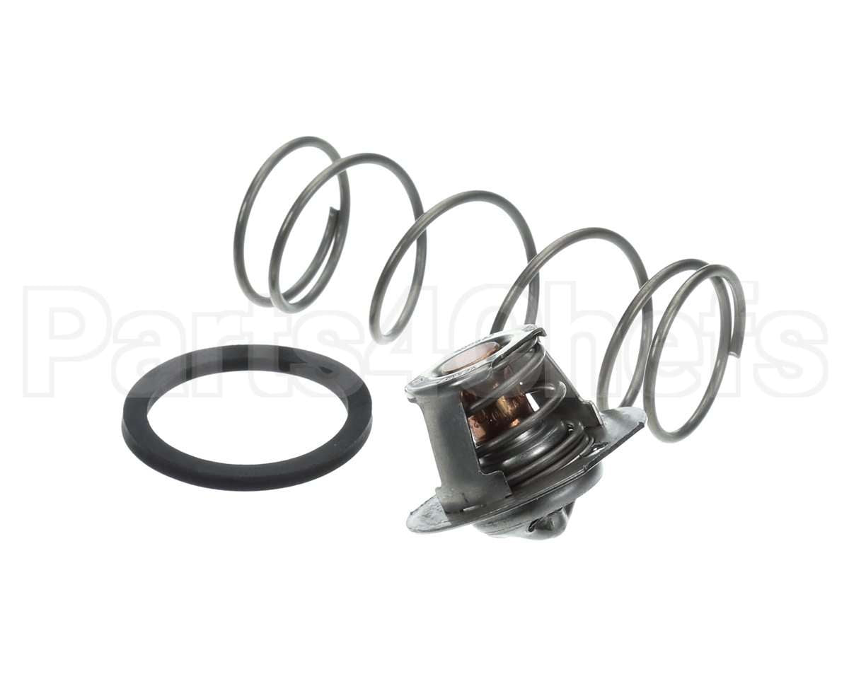 062234B Raypak Governor