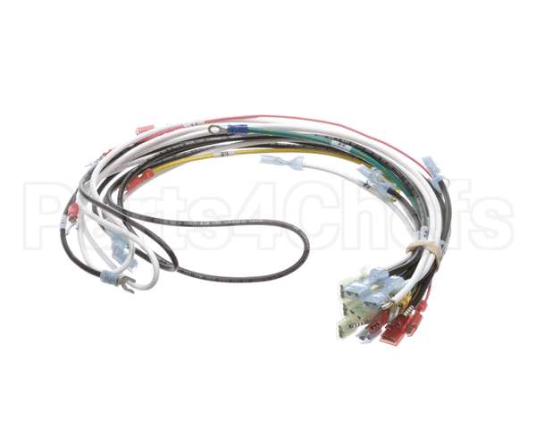 0700938 Antunes Wire Harness 48 Cinnibon