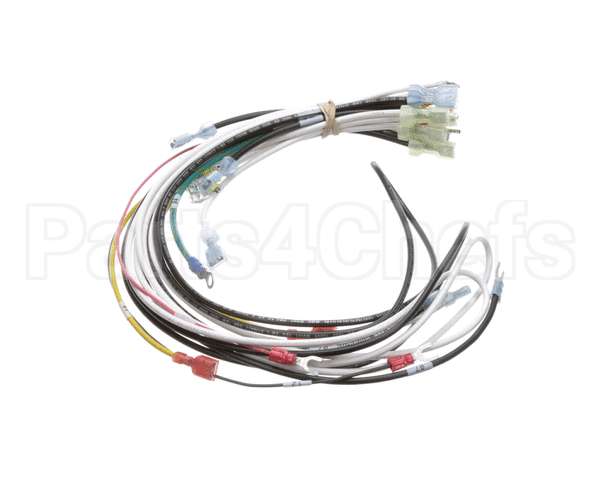 0700938 Antunes Wire Harness 48 Cinnibon