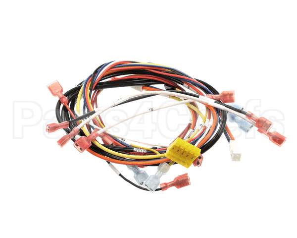 0700975 Antunes Wire Set, Dual Eggstation