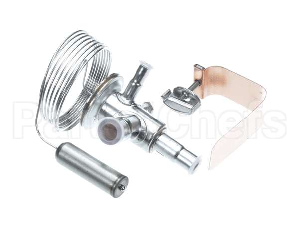 089993 Electrolux Professional Valvole
