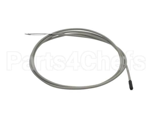 092965 Electrolux Professional Probe