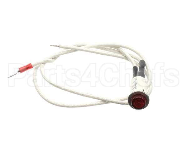 09917 Dinex Pilot Light