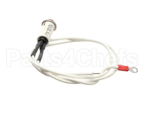 09917 Dinex Pilot Light