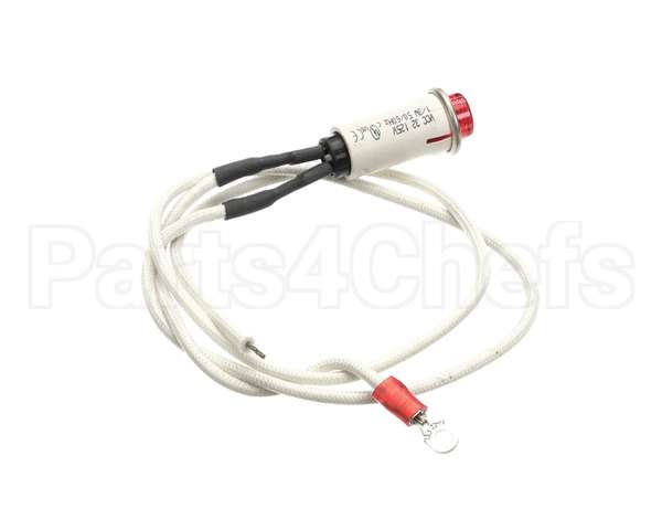 09917 Dinex Pilot Light