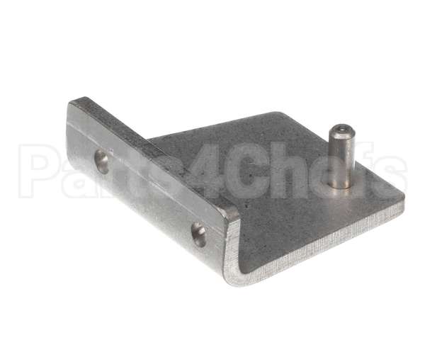 099200 Electrolux Professional Hinge, Inf.