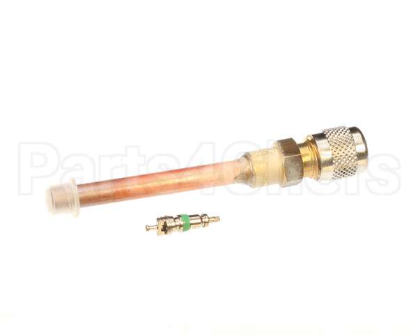 0A8171 Electrolux Professional Recharge Valve