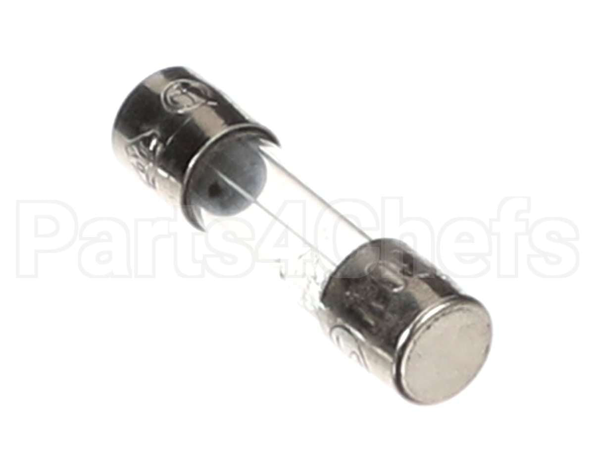 0A8438 Electrolux Professional Fuse