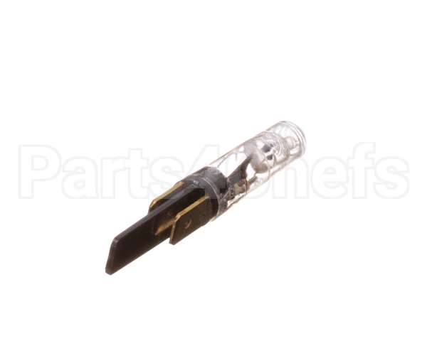 0C0249 Electrolux Professional Lamp