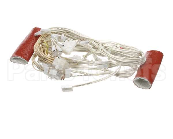 0C6035 Electrolux Professional Wiring Harness