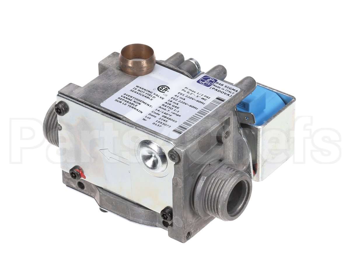 0CBAKU Electrolux Professional Gas Valve; 220V 60Hz; Usa;