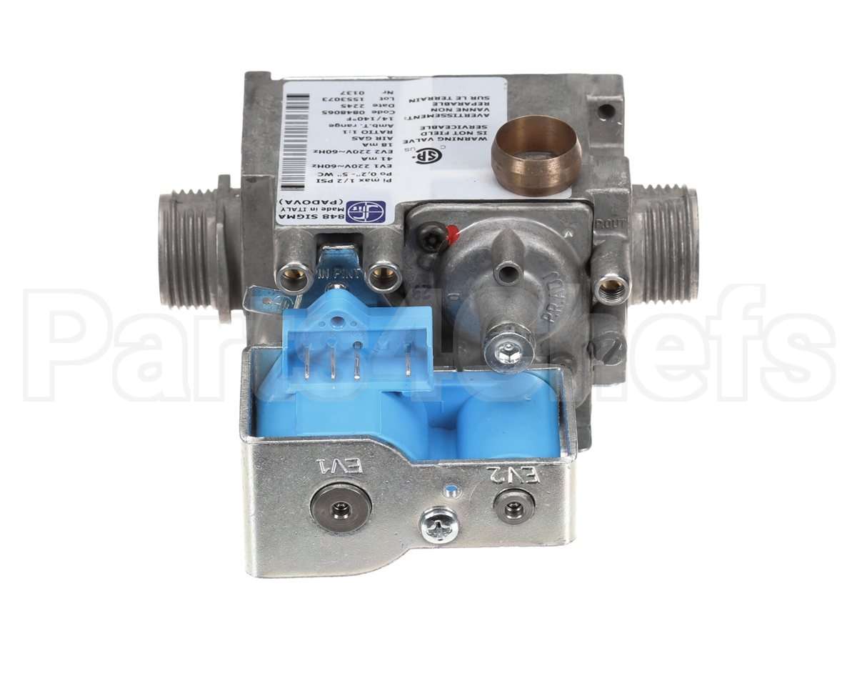 0CBAKU Electrolux Professional Gas Valve; 220V 60Hz; Usa;