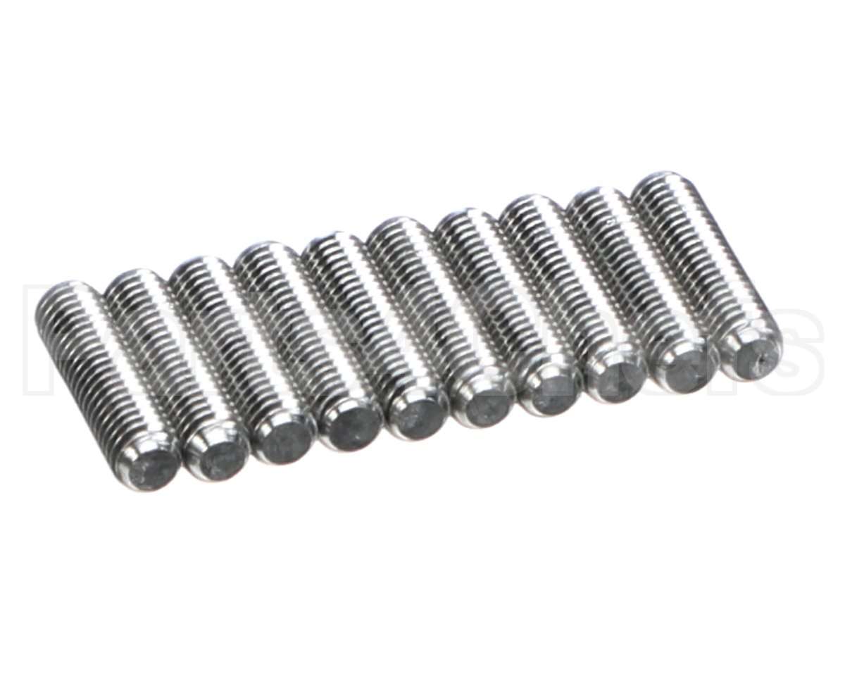 0D0522 Electrolux Professional Screw, 10 Pieces