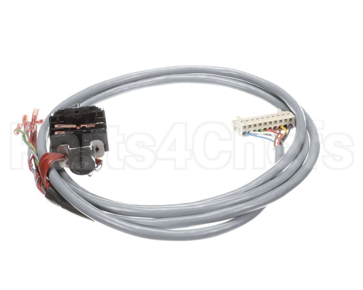 0G3298 Electrolux Professional Switch, W. Poti/Cable - 10 Po