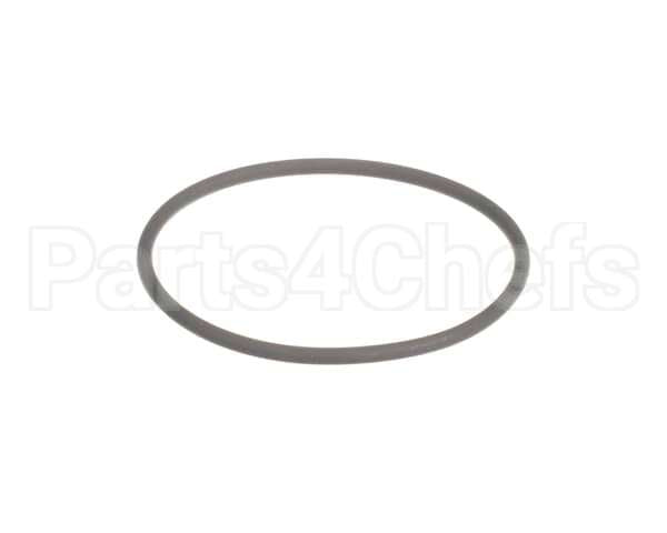 0K5544 Electrolux Professional O-Ring