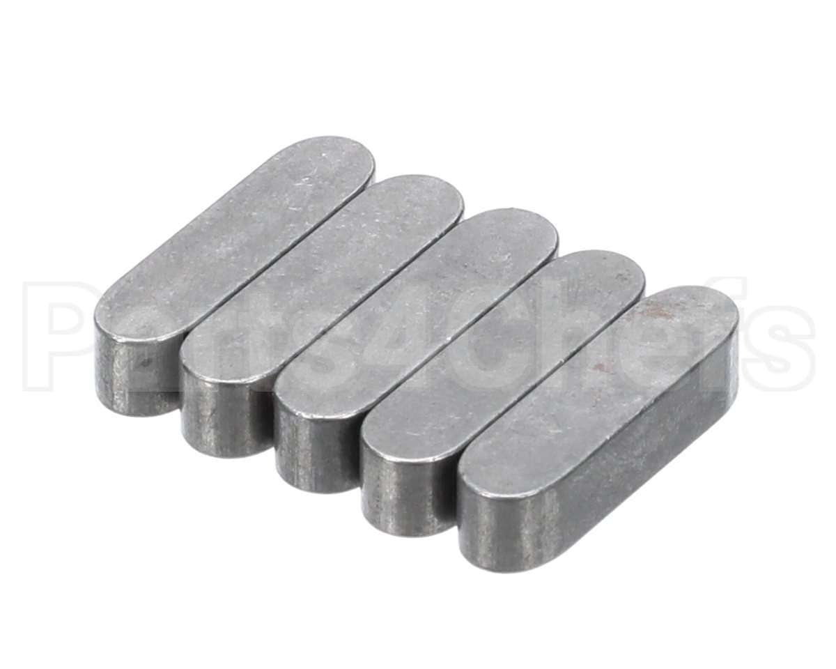0KQ487 Electrolux Professional Key, 5 Pieces