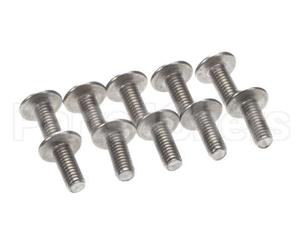 0L2513 Electrolux Professional Screw, Set 10Pcs