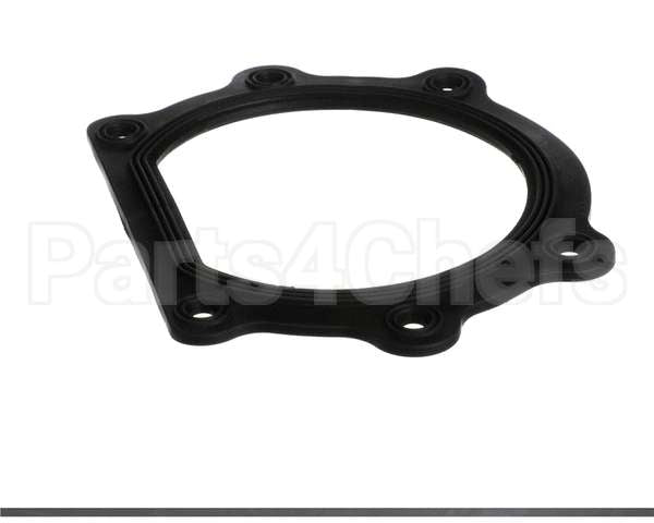 0L2822 Electrolux Professional Gasket