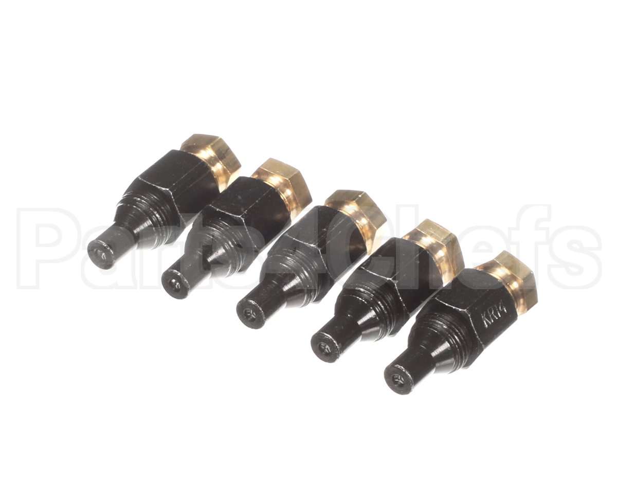 100-10000650 Raypak Kit-Pilot Orifice Pro #79(5Pk)