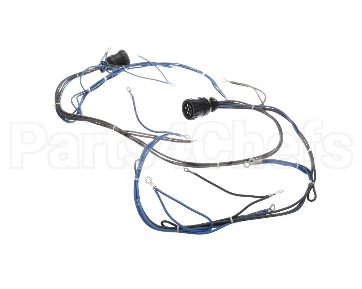 10005602 Lincoln Wireharness,Back,Y