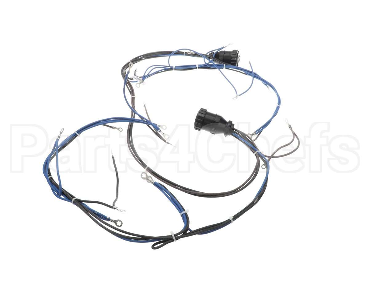 10005602 Lincoln Wireharness,Back,Y