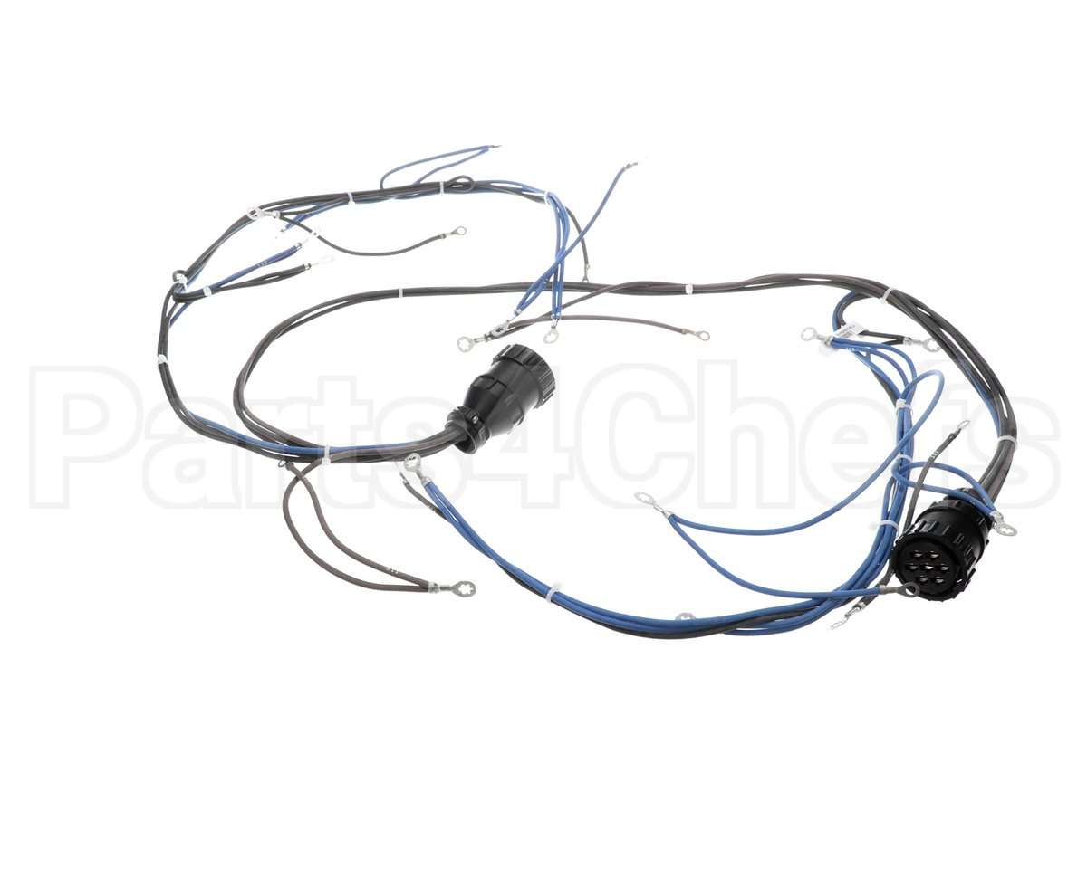 10005602 Lincoln Wireharness,Back,Y