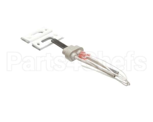 100093631 Polaris Water Heater Igniter Kit Includes:gasket Br