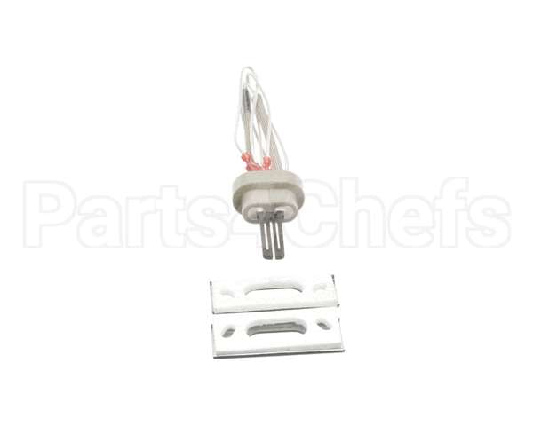 100093631 Polaris Water Heater Igniter Kit Includes:gasket Br