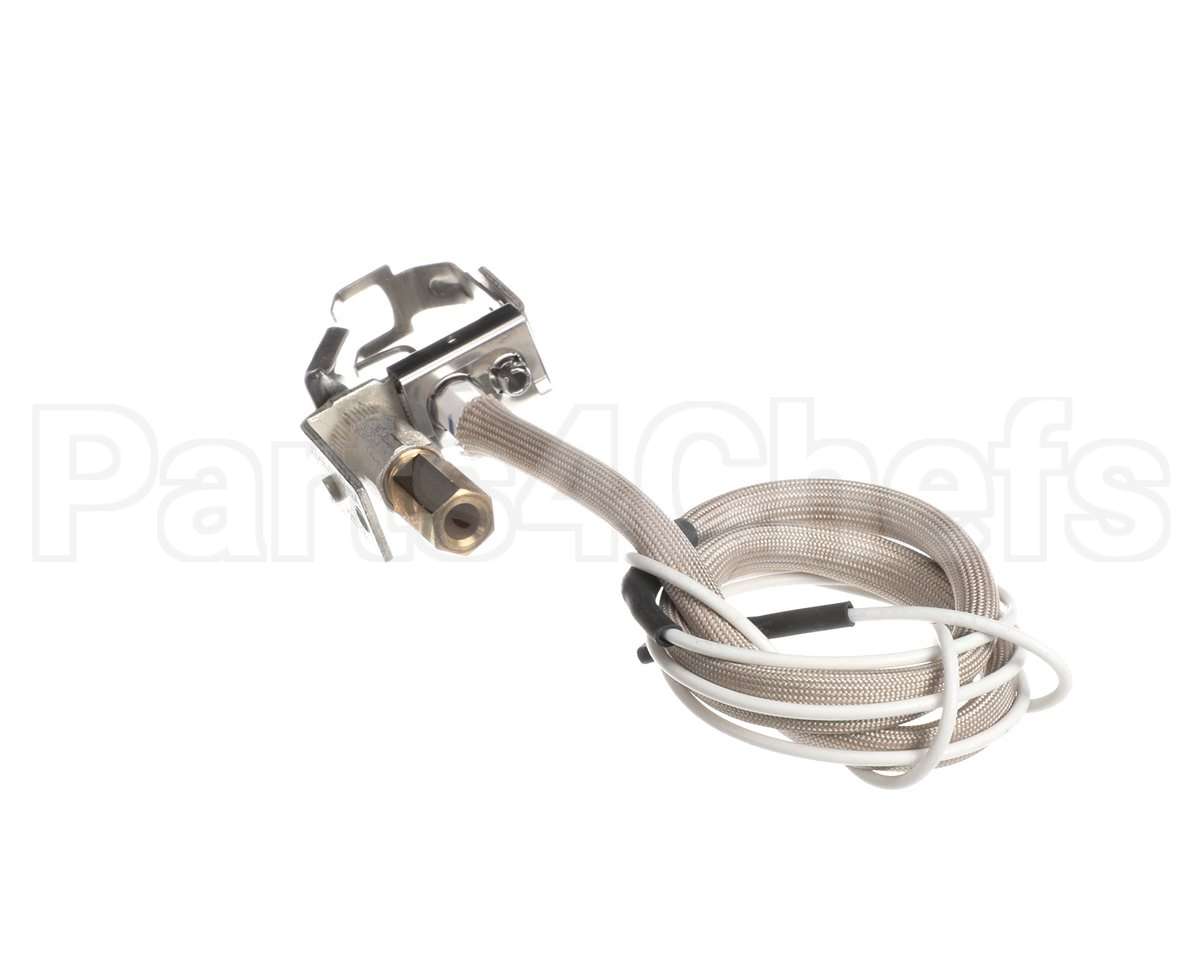 100109928 Lochinvar Lp Pilot Assembly