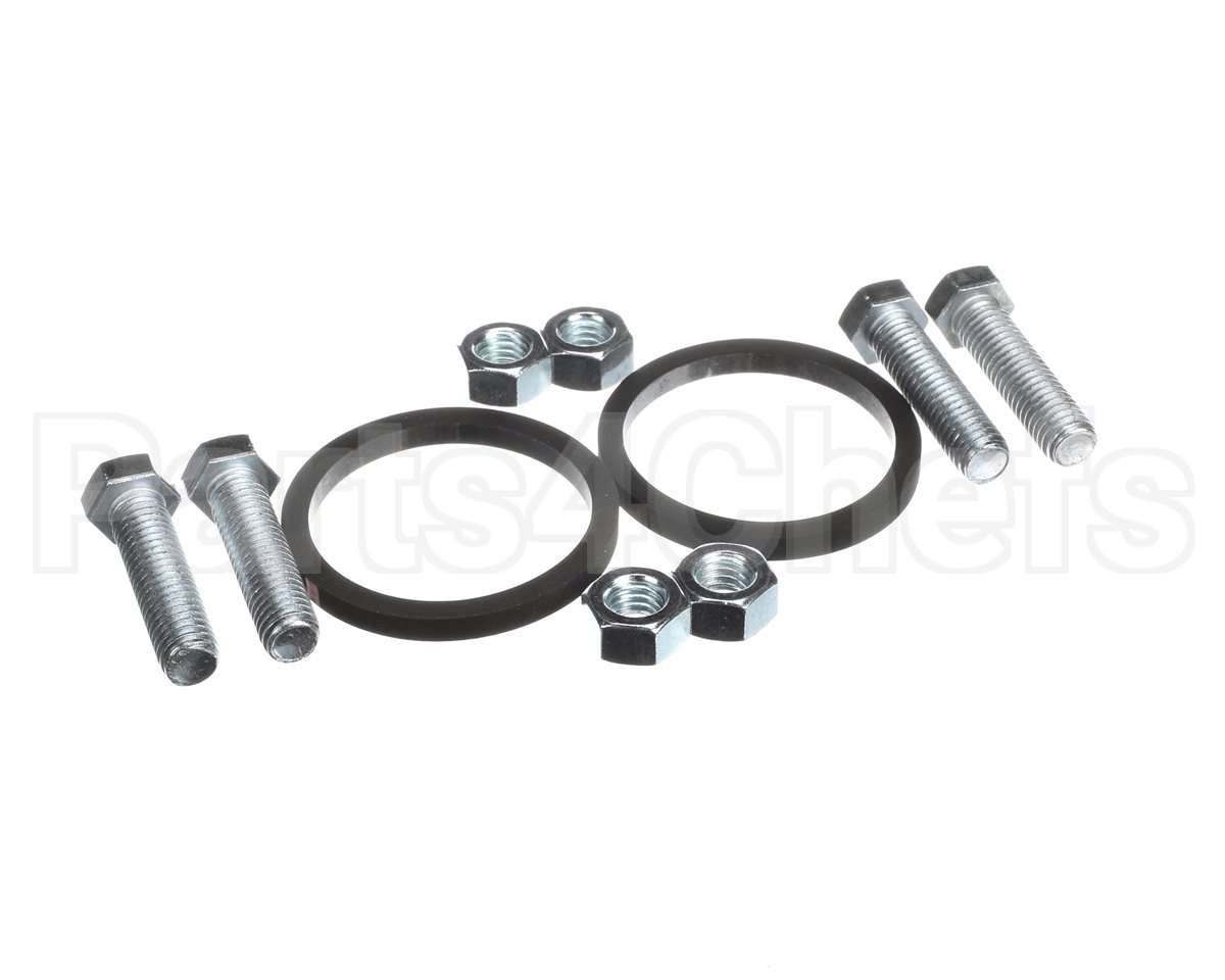100166331 Lochinvar K,Bolt & Gasket,Pum30004