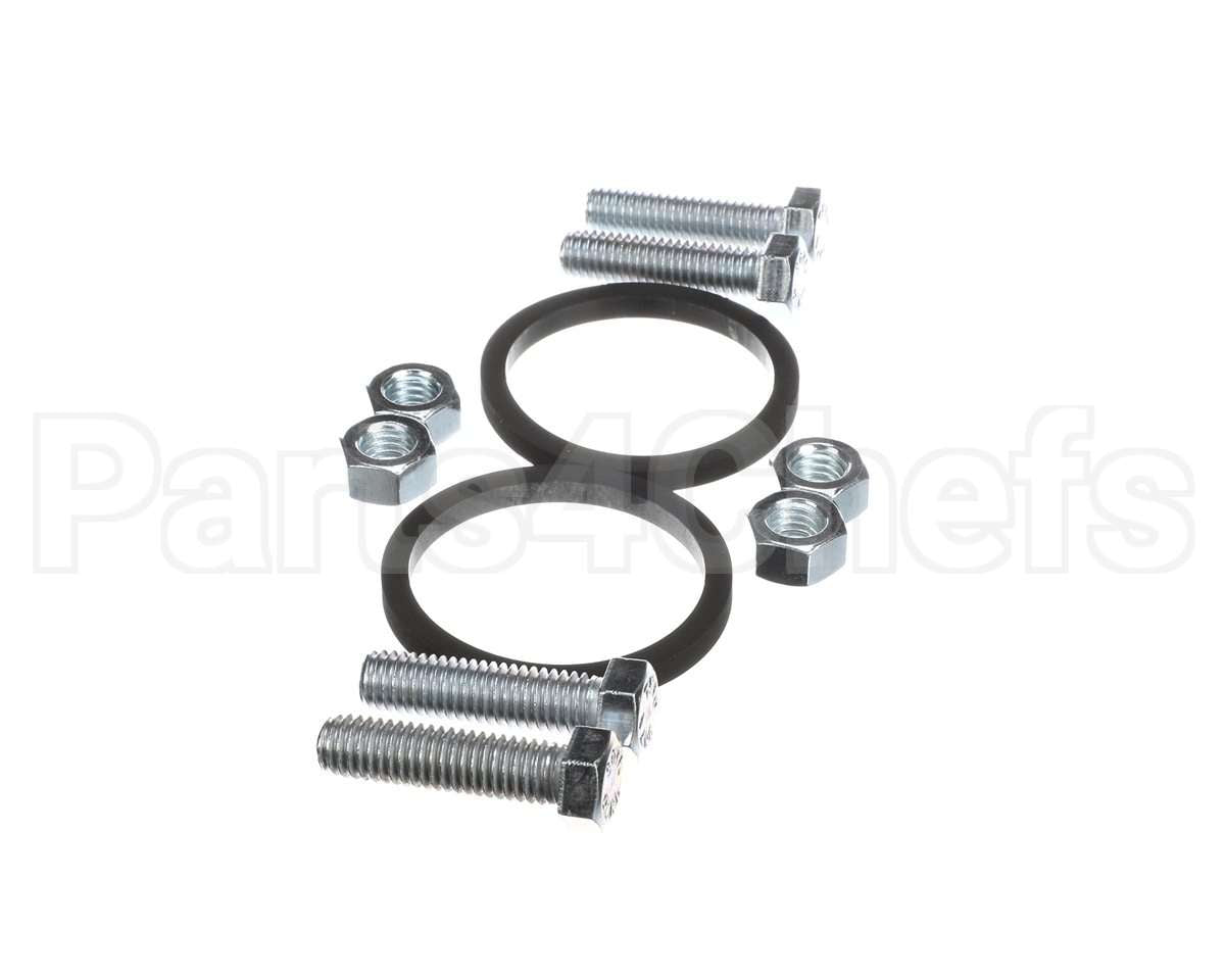 100166331 Lochinvar K,Bolt & Gasket,Pum30004