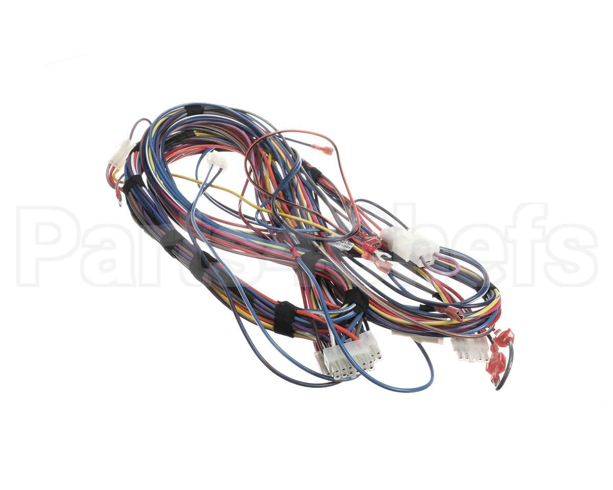 100173240 Lochinvar Harnesswire24Vpb/Pf