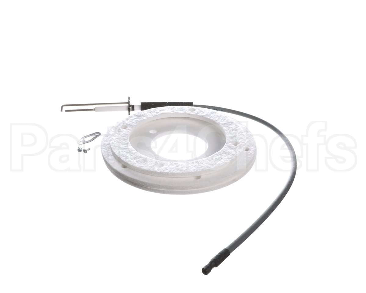 100271888 Ao Smith Water Heater K,Spark Igniter Assy,(Straig