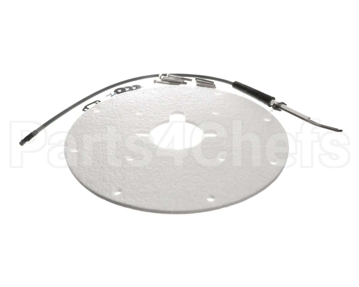 100271889 Ao Smith Water Heater K,Spark Igniter Assy(Angled)