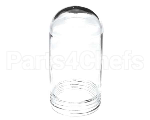 10119 Gaylord Globe For Bullet Shaped 100 Wa